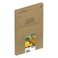 Epson cartuccia nero / ciano / magenta / giallo (C13T10H64510 / 604XL) (multipack, alta capacità)